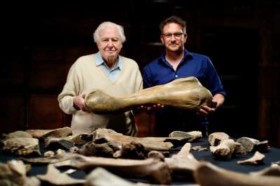 Attenborough ja mammutin hautausmaa