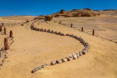 Egyptin salainen valaiden laakso