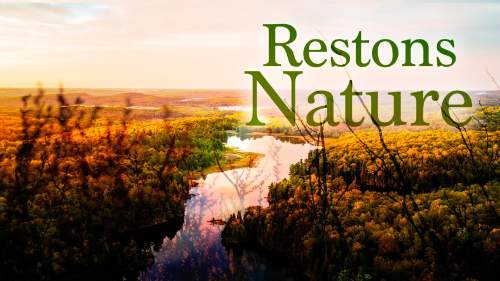 Restons nature