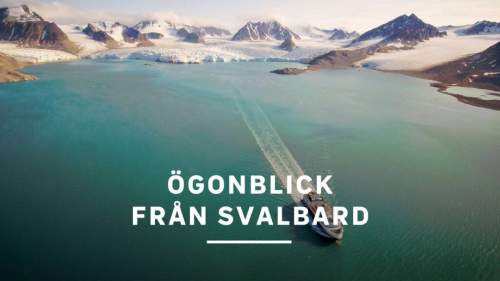 Ögonblick från Svalbard
