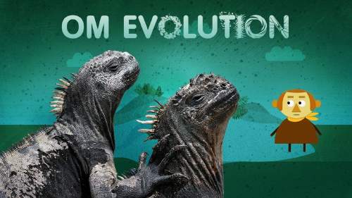 Om evolution - lulesamiska