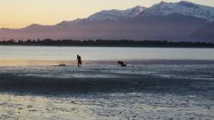 Alaska: Surviving the Last Frontier