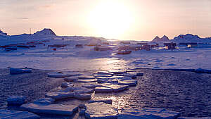 Antarktis - ikuisen jään seikkailu