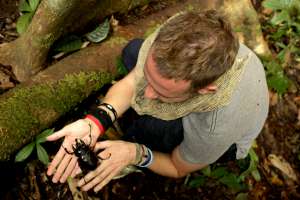 Dominic Monaahan ja villi luonto Sähköankerias