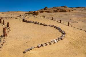 Egyptin salainen valaiden laakso