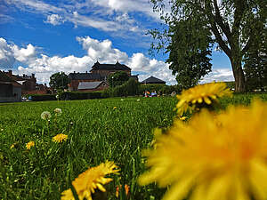 Hämeenlinnan linnanpuiston kesäpäivä on täynnä elämää