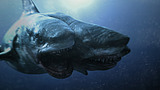 Hirviöleffa: Kolmipäinen hai