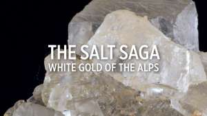 Historia: Suola, Alppien valkoinen kulta