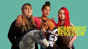 Hobbyhorse Revolution
