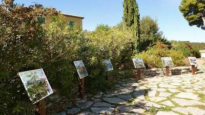 Matkapassi: Taidemaalarien Provence