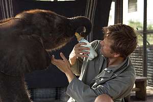 MTV3doc: Naledi: Elefanttivauvan tarina