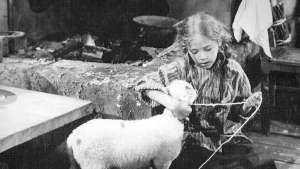 Pikku Ilona ja hänen karitsansa