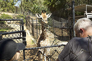 San Diegon eläintarha