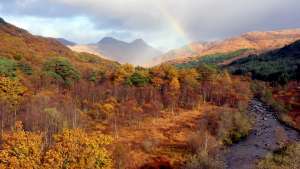 Skotlannin villi luoto ja vuodenkierto