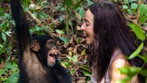 Turvapaikka simpansseille