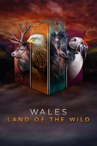 Wales: Kesyttömän luonnon maa Kesyttämän luonnon maa pimeän jälkeen